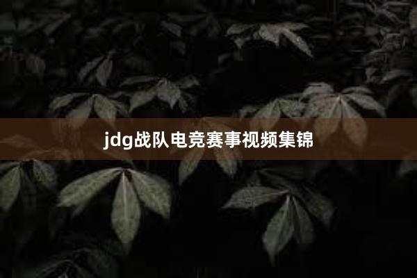 jdg战队电竞赛事视频集锦