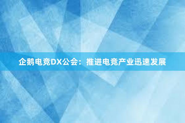 企鹅电竞DX公会：推进电竞产业迅速发展