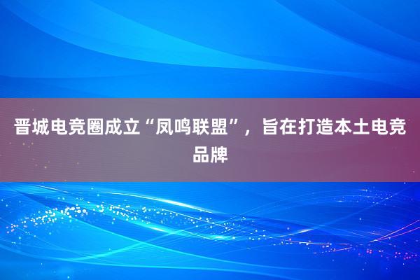 晋城电竞圈成立“凤鸣联盟”，旨在打造本土电竞品牌